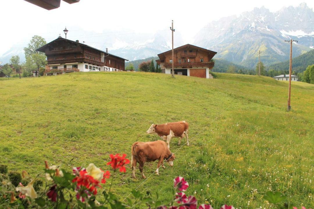 Pension Sunnberg Going am Wilden Kaiser エクステリア 写真